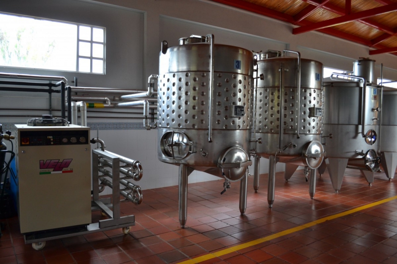 cave-ANDON-min_wine_production_cantine_winery_drink_alcohol_vine_beverage-902036